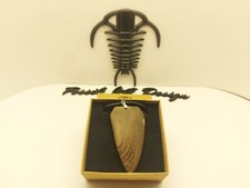 Fossil Wood Pendente