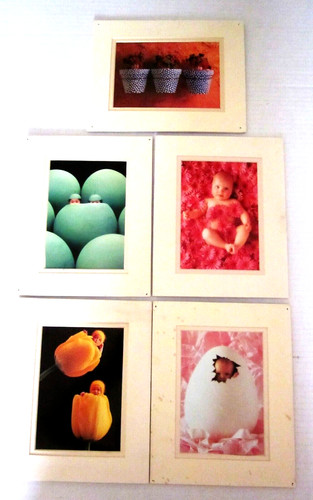 Fotografie anne geddes - fotografie,