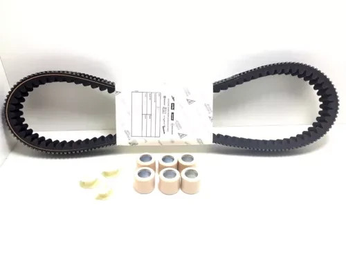 Kit tagliando cinghia rulli - kit,