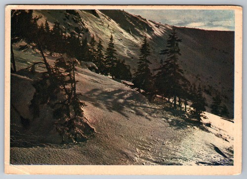 Cartolina paesaggio montano - paesaggio,