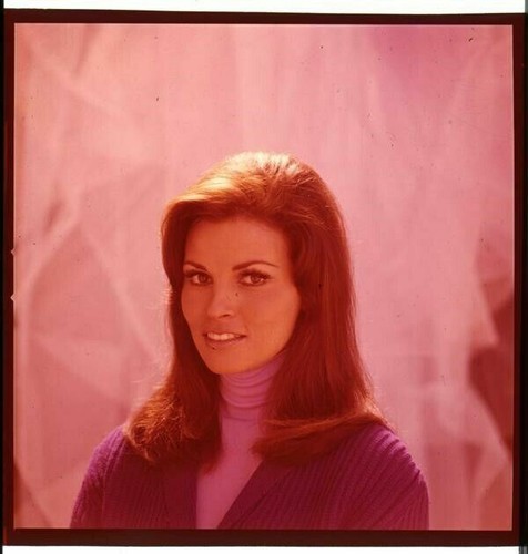 Raquel welch servizio - raquel,