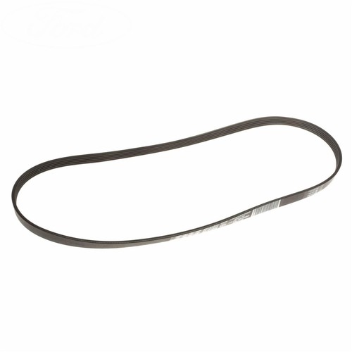 Cinghia trap trasm aus - trap., trasm.