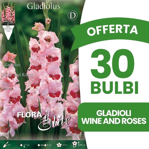 Bulbi primaverili offerta - bulbi, 30