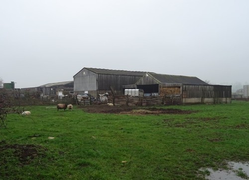 Photo 6x4 wharfedale garden - photo,