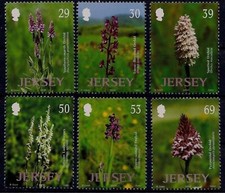 Maglia 2003 Orchidee Selvatiche Fiori Piante Natura Set 6v MNH