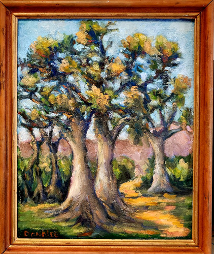 Dipinto olio plein air - , alberi
