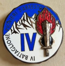 IV BATTALION ARREST PIONEERS