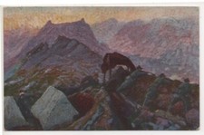 TOMMASO CASCELLA  - Nelle