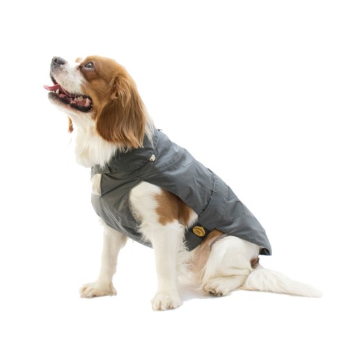 Fashion dog cappotto per - fashion, cani