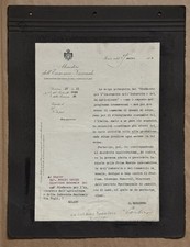 Honourable Corbino Mario Bear