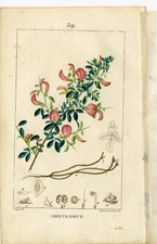 Stampa