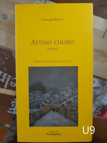 Attimo chiaro poesie - , di