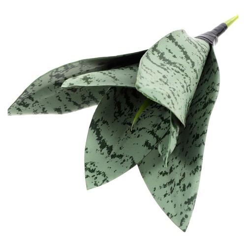 Piante succulente finte - succulente,