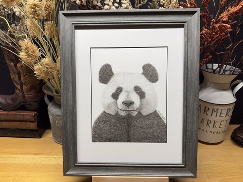 Disegno orso panda - di, un