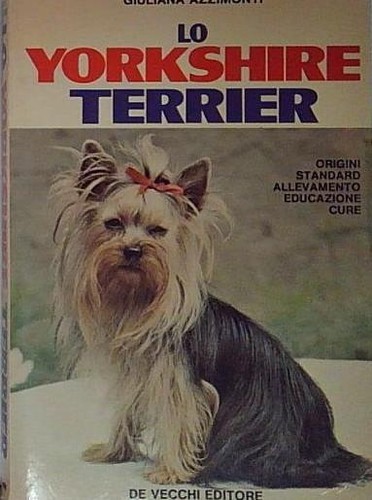 Yorkshire terrier - yorkshire,