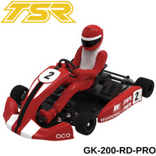 Team Saxo GK-200-PRO 1/8 RC Go