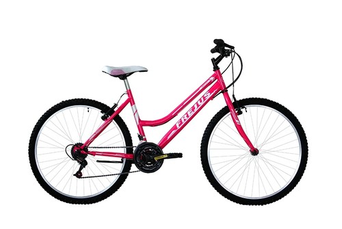 Bici mtb velocità - bici, 24