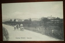 Cartolina d'epoca paesaggistica Italia Lombardia   Como Orsenigo Brianza cariola