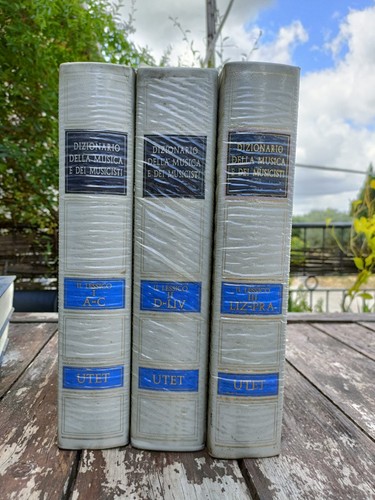 Dizionario della musica dei - dizionario, e