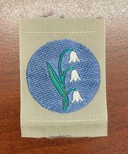 Distintivo AGI Associazione
