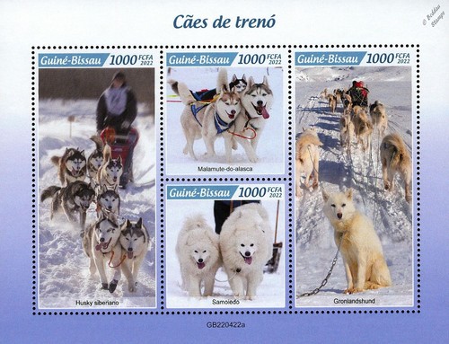 Sled dogs - sled,