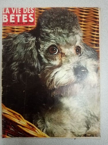 Vita degli animali - la,