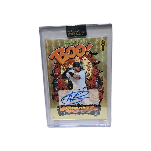 True agustin ramirez auto - 1/1,