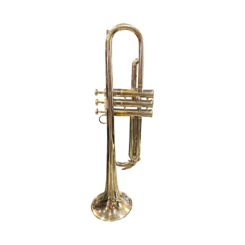 Orsi sib tromba argentata - argentata,