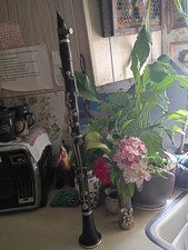 Buffet Crampon Clarinet with
