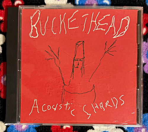 Buckethead acoustic shards - buckethead,