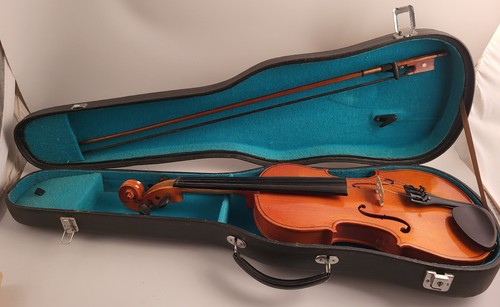 Violino adulto da - violino, studio
