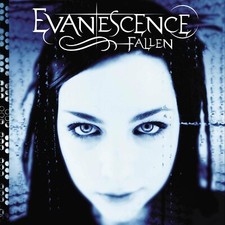 EVANESCENCE Fallen BANNER HUGE