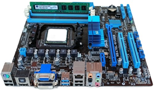 Scheda madre asus - madre,