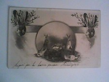 CONIGLI LEPRI UOVA BUONA PASQUA 1902