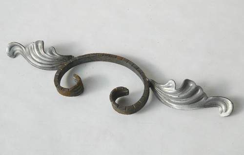 Riccio con foglie ferro - riccio,