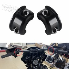 Morsetti persico frizione