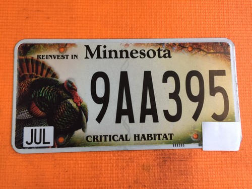 Minnesota targa scaduta - minnesota,