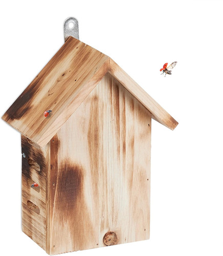 Casetta per coccinelle legno - casetta, coccinelle,