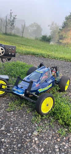 Team losi racing kinwald - team,