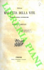Tassinari giuseppe sulla - tassinari,