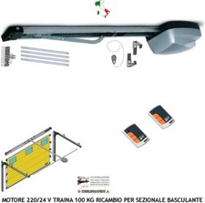 PORTA SEZIONALE BASCULANTE