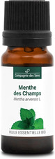 MENTA DEI CAMPI (Mentha