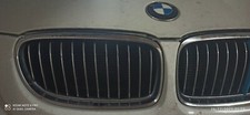 Griglie Reni Bmw E91 Lci