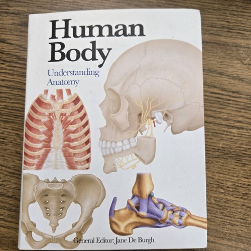 Human body understanding - human,