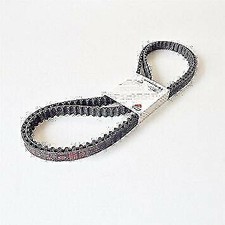 73740251B COPPIA CINGHIE