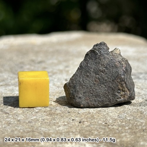 Nwa 869 meteorite - nwa, genuine