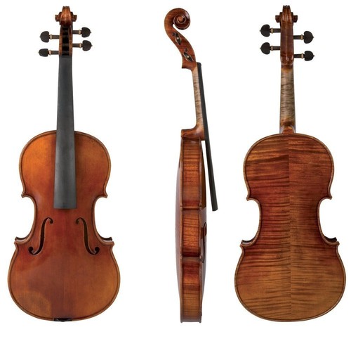 Violino maestro - -,