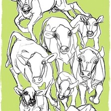 Tessuto Marimekko Kevatjuhla