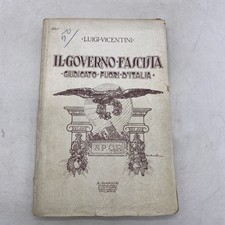 LUIGI VICENTINI - IL GOVERNO