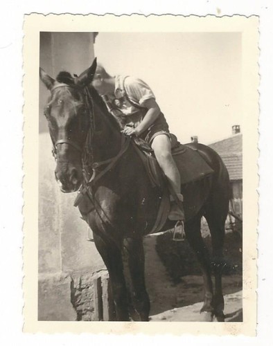 133 foto ragazzo - ragazzo, con